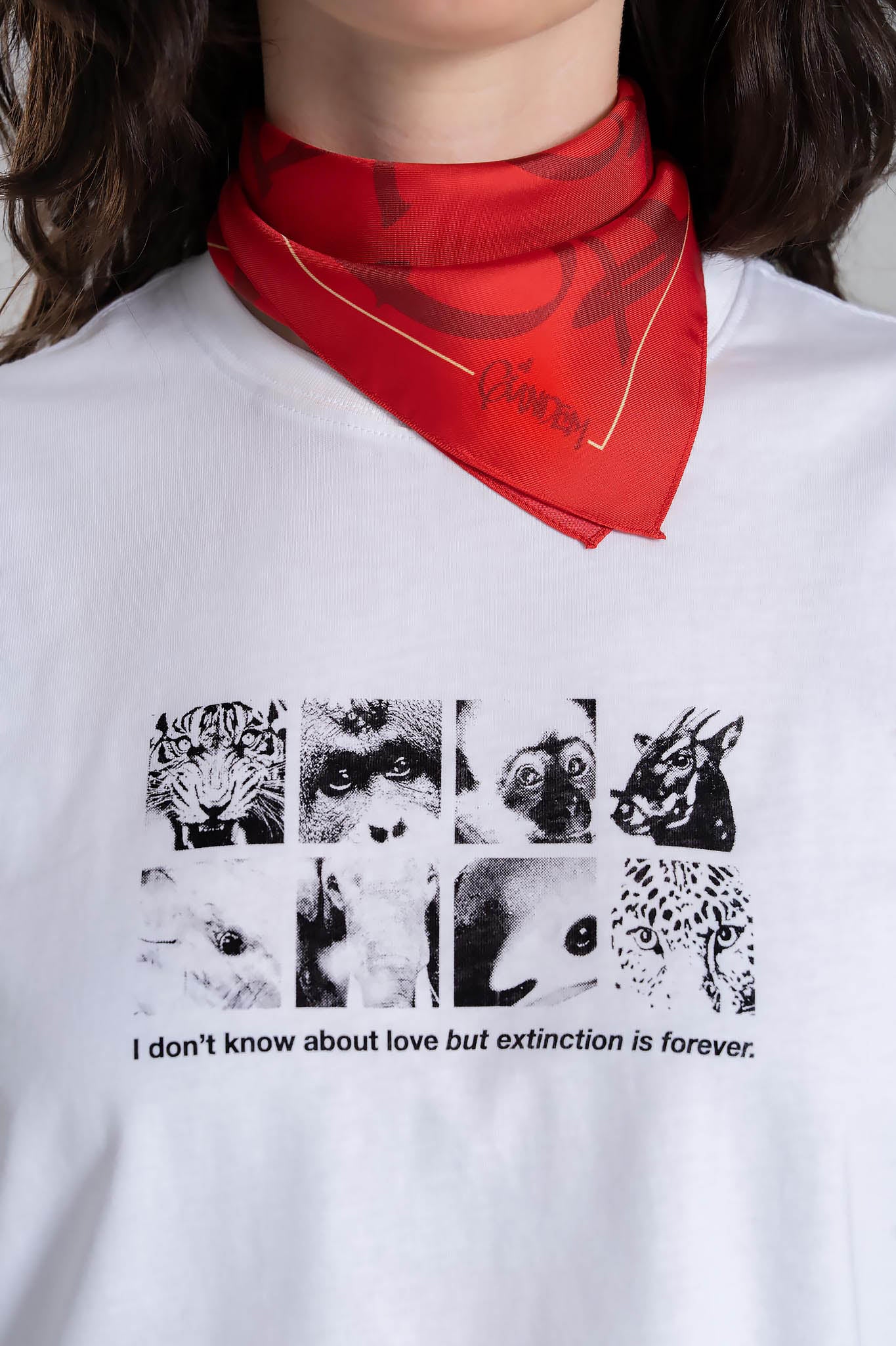 Extinction Pocket Square